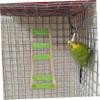 GRIRIW Parrot Wooden Ladder view 4
