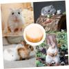 GRIRIW Ceramic Hamster and Small Animal Food Bowl view 3