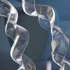 WXGMP Cuttable Transparent U-Shaped Edge Protector, Self-Gripping, 2 m x 2–3 mm view 3