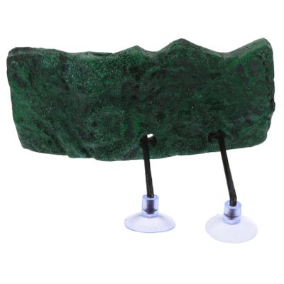 Sosoport Floating Turtle Platform with Suction Cup