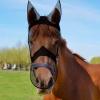 Horse Fly Mask with UV Protection, Long Nose and Ears view 2