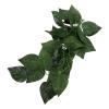 Haofy Reptile Simulation Decor Green Vine view 4