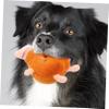 BESPORTBLE 2-Piece Cartoon Plush Chew Toys for Small and Medium Dogs view 3