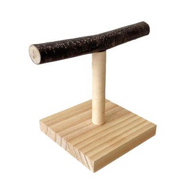 Parrot Training T Stand - Portable Bird Perch