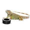 GRIRIW Reptile Feeder Round Ceramic Bowl view 4