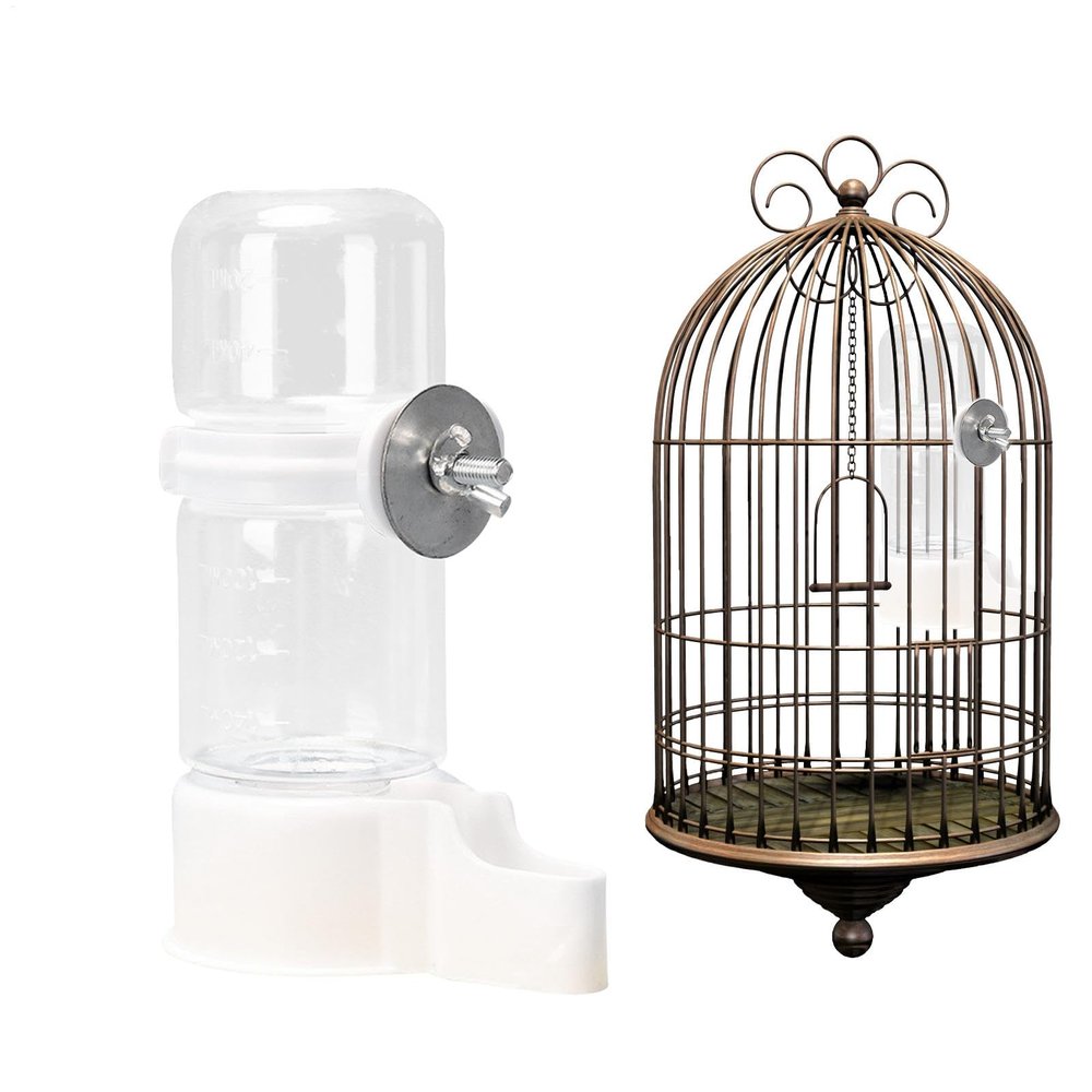 Automatic Bird Water Dispenser with Large Capacity