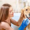 Pet Bath Gloves for Dogs view 2