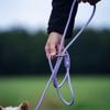 Max & Molly Multifunction Rope Dog Leash, Matrix 2.0, Jade/L, 2 m, Continuously Adjustable with 2 Carabiners view 3