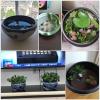 FBHappiness RedAeL Extra-Large Ceramic Aquarium: A Stunning Centerpiece for Your Interior Decor view 2