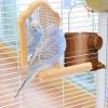 Automatic Bird Water Bottle - 250 ml view 2