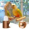 Automatic Bird Water Bottle - 250 ml view 3