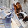 GRIRIW Rabbit Harness and Leash view 4