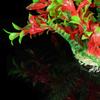 VANZACK Red Water Plants for Aquariums view 3