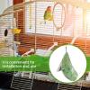VANZACK Parrot Nest House view 3