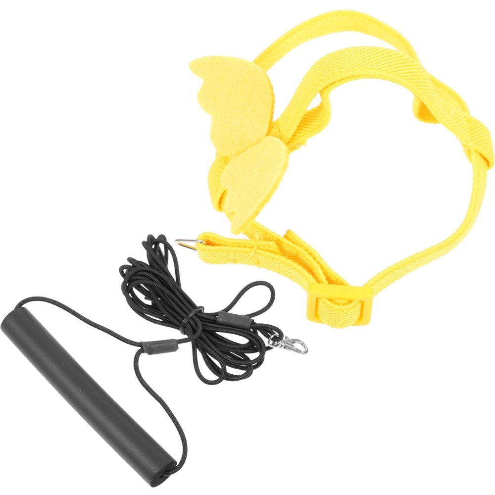 Sosoport Bird Harness and Training Leash