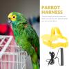 Sosoport Bird Harness and Training Leash view 4