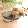 Celery Pets Clawloom Dual Cat Scratching Pad, Natural Cotton Rope, White, 14 in view 3