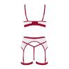 Women's Sexy Mesh Lingerie Set with Garter Thong, Open Style (RD1, M) view 3
