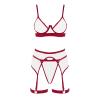 Women's Sexy Mesh Lingerie Set with Garter Thong, Open Style (RD1, M) view 4