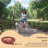 Dog Play and Tug Rope with Compact Ergonomic Handle view 3