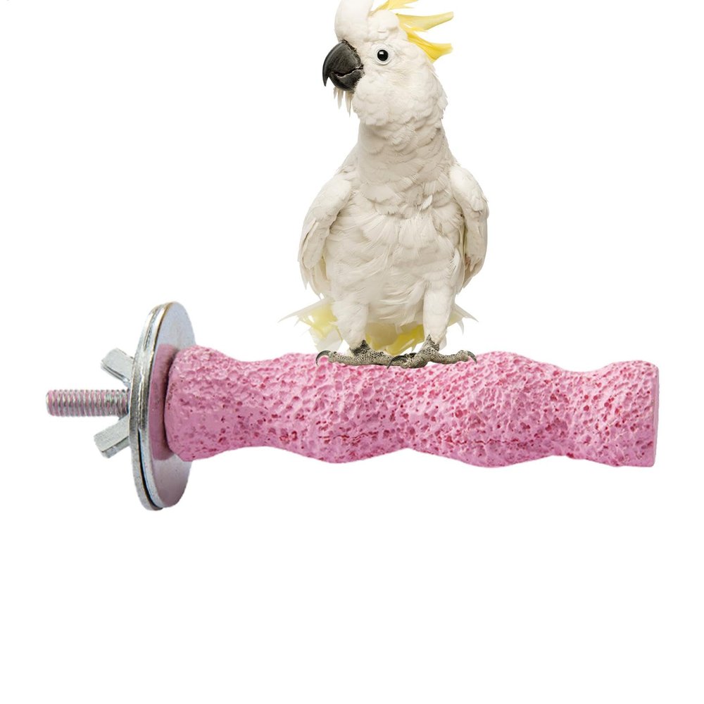 Birdcage Perch – Natural Wood T-Shaped Textured Chew Toy