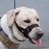 Adjustable Dog Muzzle with Reflective Wire view 3