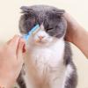 Dog Grooming Comb, Detangler Pet Comb, Non-Slip Dog Brush view 2