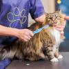 Dog Grooming Comb, Detangler Pet Comb, Non-Slip Dog Brush view 3
