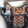 yinjieEUR 3-Layer Car Net Organizer for Rear Seat, Citroen C3 2003–2009, Dog Barrier and Pet Storage, A-Big view 3