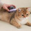 Pet Grooming Tool, Dematting Comb for Dogs, Spaceship-Shaped Silicone Brush view 3