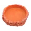BESPORTBLE Reptile Water and Food Bowl view 1