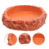 BESPORTBLE Reptile Water and Food Bowl view 3