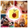 Dwarf Hamster Cozy Cave view 4