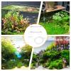 Floating Plant Barrier for Aquariums view 4