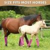 DAFORERAL Horse Leg Wraps, Breathable Stretch Leg Protectors, 4-Pack, Orange view 4