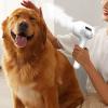 Pet Grooming Brush with Built-In Spray, Detangling Comb and Hair Removal Tool view 3