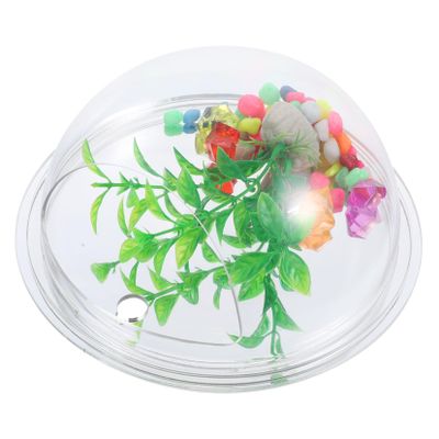 Sosoport Acrylic Wall Vase for Small Plants