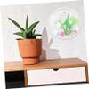 Sosoport Acrylic Wall Vase for Small Plants view 3