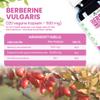 Alzuro Labs Berberis vulgaris Extract 500 mg, 20:1, 120 Capsules view 3
