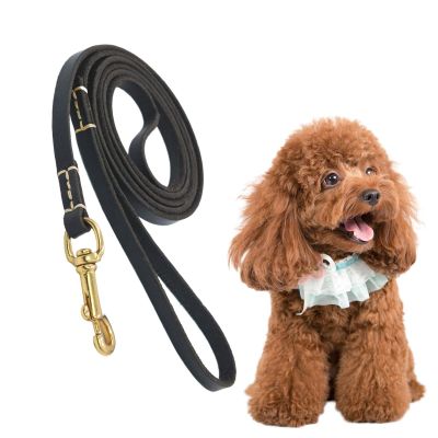 No Pull Dog Training Leash