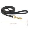 No Pull Dog Training Leash view 2