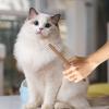 Pet Dematting Comb, Dog Shedding Comb and Puppy Knot Remover view 2