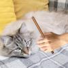 Pet Dematting Comb, Dog Shedding Comb and Puppy Knot Remover view 3