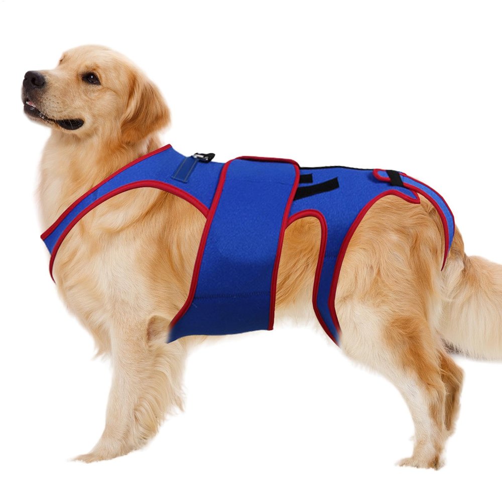 Dog Back Brace, Hip Support for Dogs, Helps Small Dogs