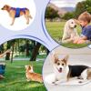 Dog Back Brace, Hip Support for Dogs, Helps Small Dogs view 4