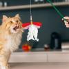 Szaluyk Cat Feather Toy view 2