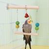 Bird Swing Toy for Parrots view 2