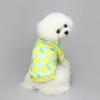 Ses Hooded T-Shirt for Small and Medium Dogs, Cats, Puppies, Pugs, Chihuahuas, and Schnauzers, Sizes XS–XL view 4