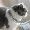 Dog Collar with Gold Chain view 2