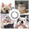 Dog Collar with Gold Chain view 3